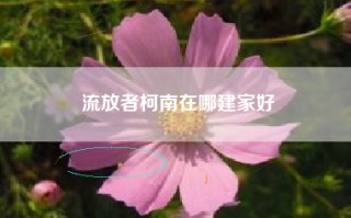 流放者柯南在哪建家好