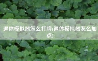 退休模拟器怎么打牌(退休模拟器怎么加点)