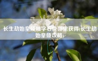 长生劫始皇陵雕字石块哪里获得(长生劫始皇陵攻略)