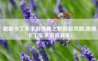 跑跑卡丁车手游蚀骨之刺获取攻略(跑跑卡丁车手游道具车)