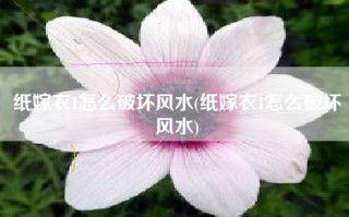 纸嫁衣1怎么破坏风水(纸嫁衣1怎么破坏风水)