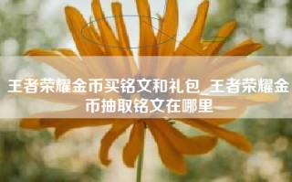 王者荣耀金币买铭文和礼包_王者荣耀金币抽取铭文在哪里
