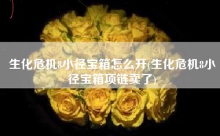 生化危机8小径宝箱怎么开(生化危机8小径宝箱项链卖了)