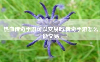 热血传奇手游可以交易吗,传奇手游怎么能交易