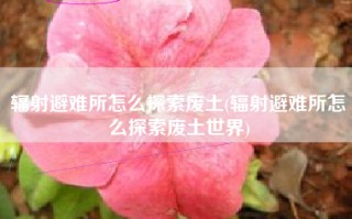 辐射避难所怎么探索废土(辐射避难所怎么探索废土世界)