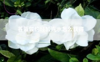 苍蓝誓约经验汽水怎么获得