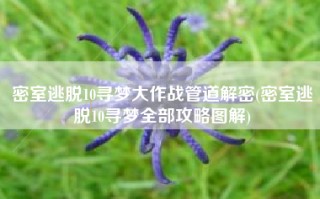 密室逃脱10寻梦大作战管道解密(密室逃脱10寻梦全部攻略图解)