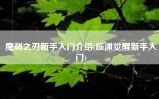 魔渊之刃新手入门介绍(临渊觉醒新手入门)