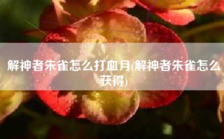 解神者朱雀怎么打血月(解神者朱雀怎么获得)