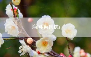海国(海国虎)