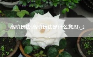 高阶玩法(高阶玩法是什么意思)_2