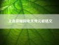 王者荣耀阿电天秀元歌铭文