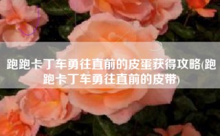 跑跑卡丁车勇往直前的皮蛋获得攻略(跑跑卡丁车勇往直前的皮带)