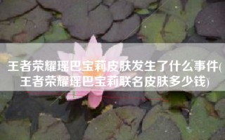 王者荣耀瑶巴宝莉皮肤发生了什么事件(王者荣耀瑶巴宝莉联名皮肤多少钱)