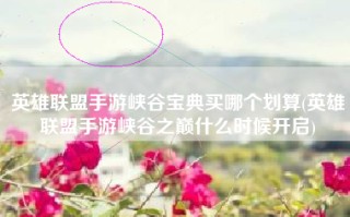 英雄联盟手游峡谷宝典买哪个划算(英雄联盟手游峡谷之巅什么时候开启)