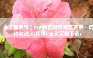 【王者荣耀】WGC微信游戏精英赛第一周精彩镜头[视频](王者荣耀下载)