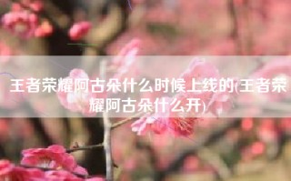 王者荣耀阿古朵什么时候上线的(王者荣耀阿古朵什么开)