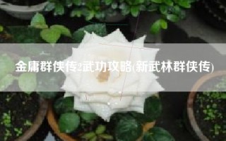 金庸群侠传2武功攻略(新武林群侠传)
