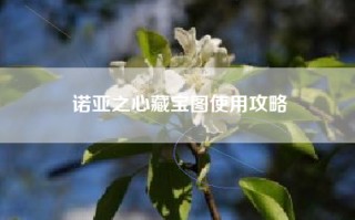 诺亚之心藏宝图使用攻略