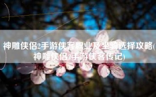 神雕侠侣2手游侠客职业及坐骑选择攻略(神雕侠侣2手游侠客传记)