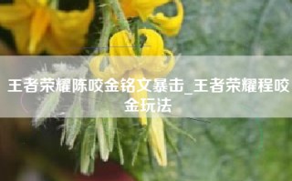 王者荣耀陈咬金铭文暴击_王者荣耀程咬金玩法