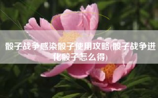 骰子战争感染骰子使用攻略(骰子战争进化骰子怎么得)
