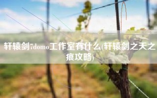 轩辕剑7domo工作室有什么(轩辕剑之天之痕攻略)