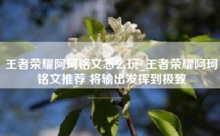 王者荣耀阿珂铭文怎么玩_王者荣耀阿珂铭文推荐 将输出发挥到极致