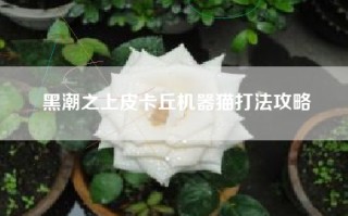 黑潮之上皮卡丘机器猫打法攻略