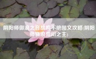 阴阳师御浪之音故鸣不绝图文攻略(阴阳师骁浪荒川之主)