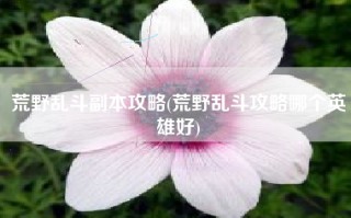 荒野乱斗副本攻略(荒野乱斗攻略哪个英雄好)