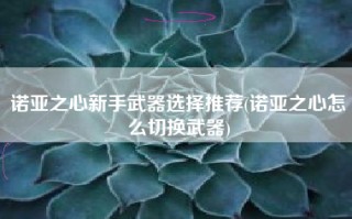 诺亚之心新手武器选择推荐(诺亚之心怎么切换武器)