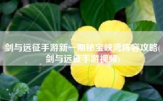 剑与远征手游新一期秘宝峡湾阵容攻略(剑与远征手游视频)