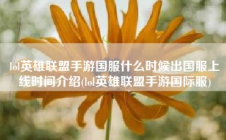 lol英雄联盟手游国服什么时候出国服上线时间介绍(lol英雄联盟手游国际服)