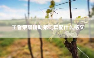 王者荣耀辅助第二套配什么铭文