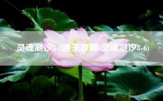 灵魂潮汐3-2通关攻略(灵魂潮汐8-6)