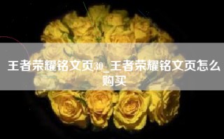 王者荣耀铭文页30_王者荣耀铭文页怎么购买