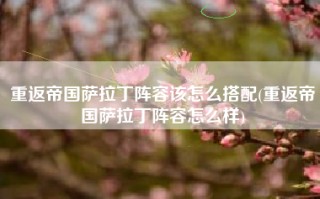 重返帝国萨拉丁阵容该怎么搭配(重返帝国萨拉丁阵容怎么样)