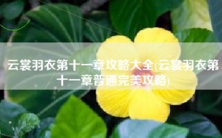 云裳羽衣第十一章攻略大全(云裳羽衣第十一章普通完美攻略)