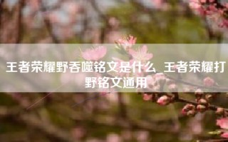 王者荣耀野吞噬铭文是什么_王者荣耀打野铭文通用