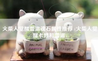 火柴人觉醒蕾温魂石属性推荐 (火柴人觉醒卡修和蕾温)