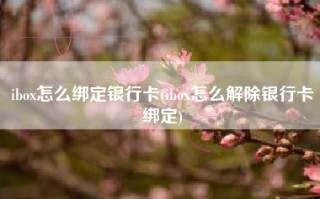 ibox怎么绑定银行卡(ibox怎么解除银行卡绑定)