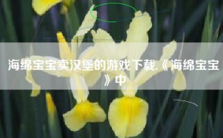 海绵宝宝卖汉堡的游戏下载,《海绵宝宝》中