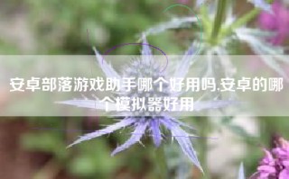 安卓部落游戏助手哪个好用吗,安卓的哪个模拟器好用