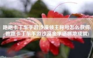 跑跑卡丁车手游沙漠领主称号怎么获得(跑跑卡丁车手游沙漠金字塔抓地成就)