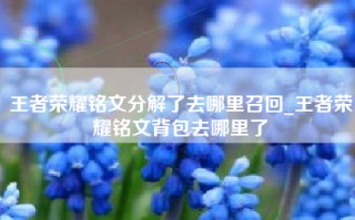 王者荣耀铭文分解了去哪里召回_王者荣耀铭文背包去哪里了