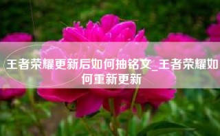 王者荣耀更新后如何抽铭文_王者荣耀如何重新更新