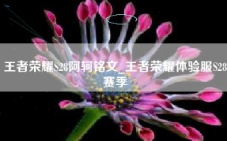 王者荣耀S28阿轲铭文_王者荣耀体验服S28赛季