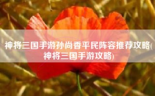 神将三国手游孙尚香平民阵容推荐攻略(神将三国手游攻略)