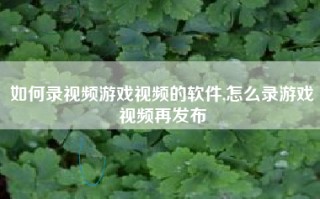 如何录视频游戏视频的软件,怎么录游戏视频再发布